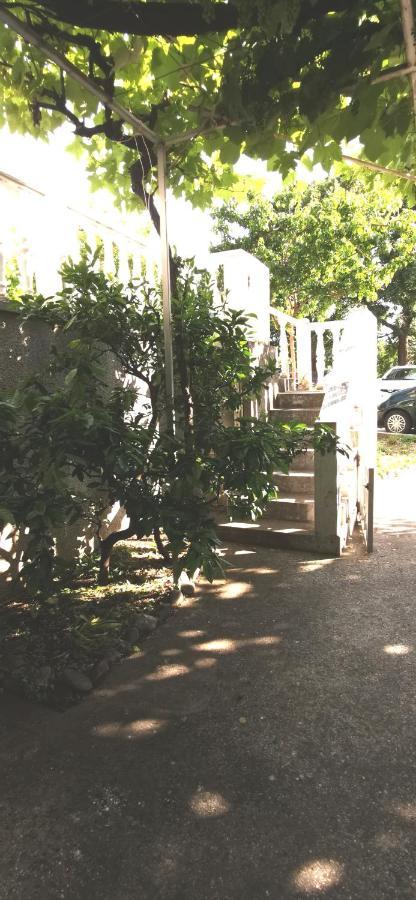 Sobe I Apartmani Marovic Petrovac المظهر الخارجي الصورة