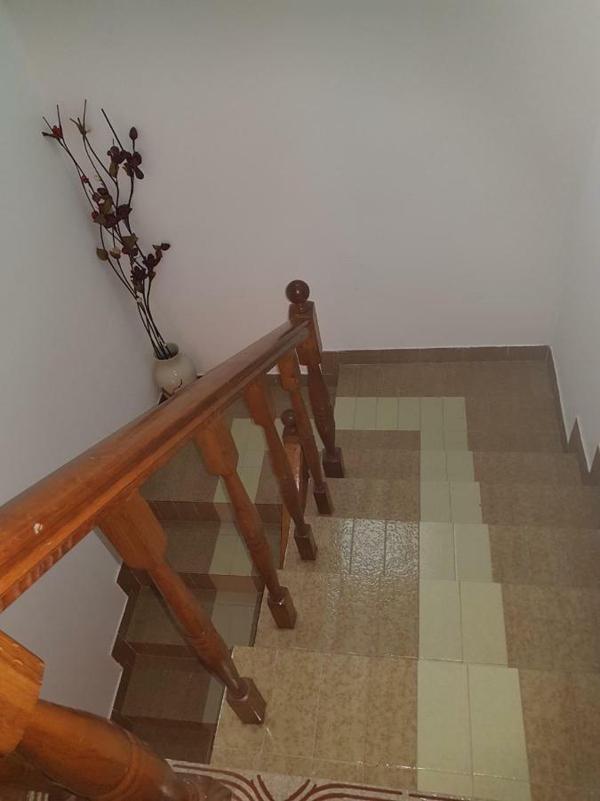 Sobe I Apartmani Marovic Petrovac المظهر الخارجي الصورة